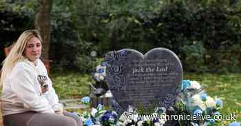 Ministers urged to act after Jack Woodley's murderer brags about sentence in 'disturbing' TikTok video