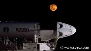 SpaceX rolls out rocket, capsule for Crew-8 astronaut launch (photos)