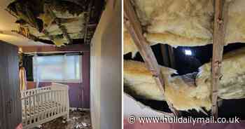 Hull mum’s plea for safety of young family as ceiling collapses at her council house