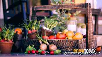 Un farmer’s market all’ombra dello stadio Olimpico: in piazza Maresciallo giardino arrivano i produttori a km0
