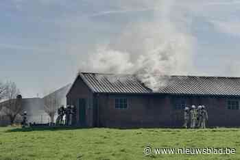 Brand legt autowerkplaats in de as: “Ook twee wagens gingen in vlammen op”
