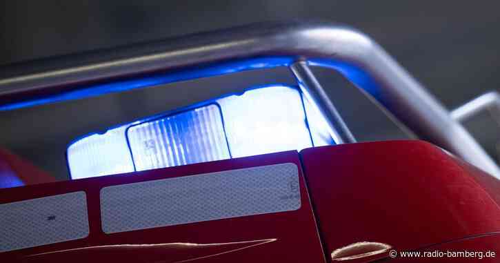 Kuh fällt von Transporter auf Autobahn