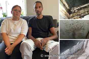 Stoke Newington council flat 'unfit for human habitation'