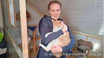 Für Tiere in Not in Calw: Ein sicherer Ort für Katzen, Tauben und  Fische