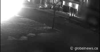 2 vehicle set ablaze in Vaughan driveway, motive unknown: police