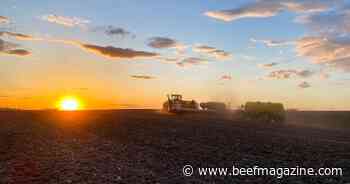 El Nino still in control, for now