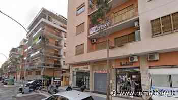 Appio Claudio, terminata la sostituzione dei pini tagliati per il restyling del viale