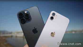 iPhone 15 Series: We Compare the Base vs. Plus vs. Pro vs. Pro Max     - CNET