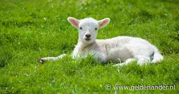 Herfstweer maakt plaats voor de lente, temperatuur gaat na het weekend richting de 15 graden