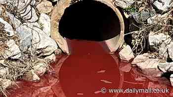 Officials crack case of blood-like ooze pouring out from drain pipe in South Carolina