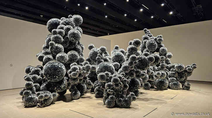 From Foaming Troughs to Flying Jellyfish: Exploring Organic Inspirations at the Hayward Gallery