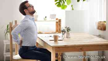 Are you sitting comfortably? Why there is NO such thing as a 'perfect posture' (despite what your bosses might tell you!)- as experts say slouching won't harm your back...