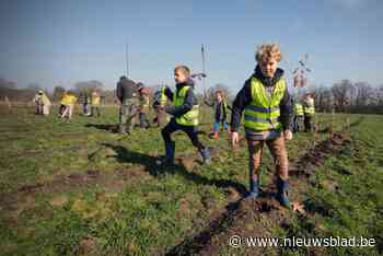 Hobos krijgt 2,3 ha extra bos