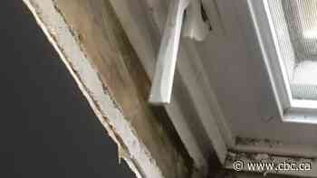 Peace River women's shelter gets $400K in provincial funds to fix mould problem