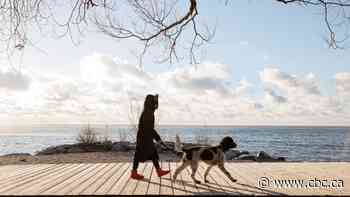 Sudden temperature drop, strong winds in store for Toronto on Wednesday