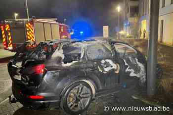Auto brandt uit op parking van woonzorgcentrum in Alken