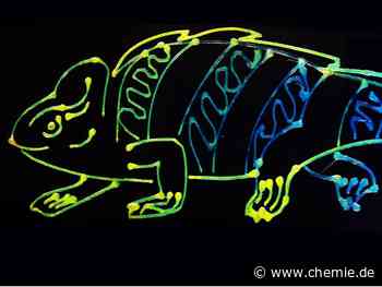 Chamäleons inspirieren neue mehrfarbige 3D-Drucktechnologie