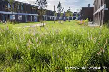 Buren Bloemenwijk krijgen subsidie voor groenonderhoud: “Gedaan met frustraties over onkruid”
