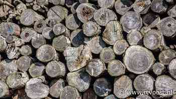 Bijzondere details ontdekt in onderzoek naar faillissement houthandelaar