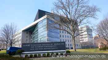 Universität in New York: Kostenloses Medizin-Studium – Professorin spendet eine Milliarde Dollar