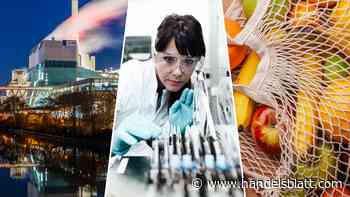 Indexfonds: Statt Tech-Aktien: Diese Branchen dürften von sinkenden Zinsen profitieren