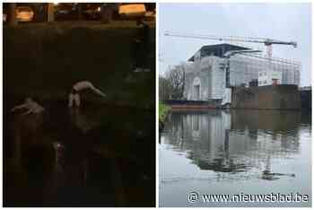 Jongeren duiken ondanks verbod in water Menenpoort: “Tegen de Last Post waren ze  weg”