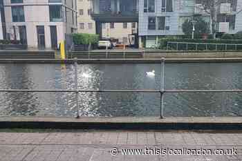 Peabody statement after death of girl, 5, in Islington canal