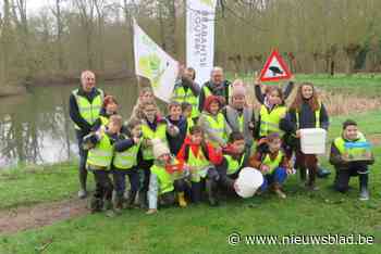 Vierde leerjaar De Zonnewijzer helpt amfibieën naar kasteelvijver en is 2500ste klas in activiteit van Regionaal Landschap