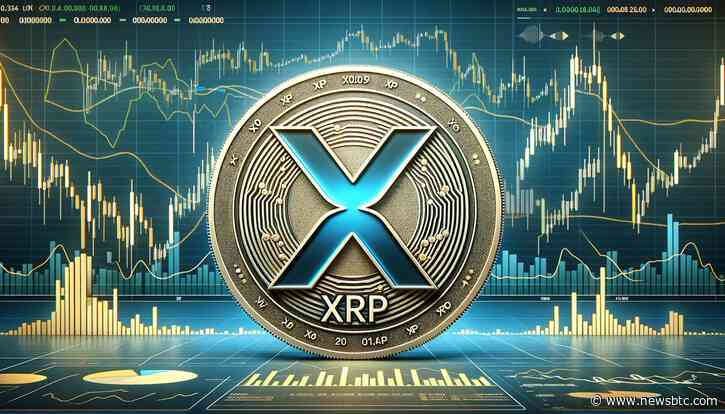 CEO Of German VC Firm Predicts XRP To Become ‘World Reserve Bridge Currency’