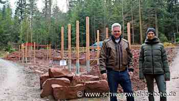 Kur- und Heilwald Schömberg: Das Glück lässt sich zwischen den Bäumen finden