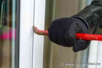 Bewoner betrapt inbrekers