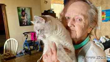 Woman, 68, grateful for rescue after falling in snowbank as temperatures dropped