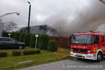 Hevige brand in gebouw Reizen De Vriendt in industriezone