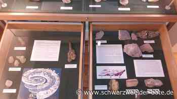 Heimatmuseum Altensteig: Die Vorgeschichte  erwacht zum Leben