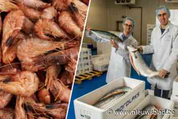 “Ik zou 11 euro voor een broodje garnaalsalade moeten vragen, waanzin”: traiteurs weren garnalen door torenhoge prijs, ook tekorten bij supermarkten