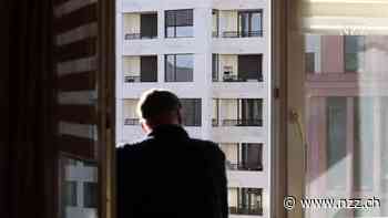 Wer braucht schon Deutschland? Die Schweizer Baukonzerne Holcim und Implenia trotzen der Wohnungsmisere