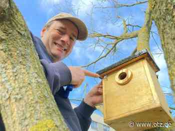 Wohnungsbauprogramm für Blaumeise und Co und in Winzerla gestartet