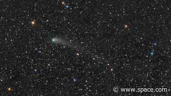Can you capture the comet's tail? Scientists need help from astrophotographers