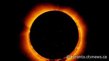 'Your safety is paramount:' Toronto Catholic teachers want virtual PA Day due to solar eclipse