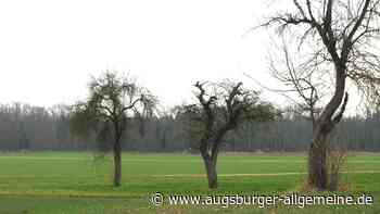 In Holzschwang hat die Windkraft derzeit wenig Freunde