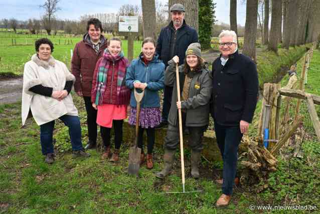 Revolutie bij middeleeuwse ‘aanborgers’: “Ook vrouwen toegelaten, huwen niet langer verplicht”