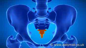 Scientists uncover why humans lost their tails 25 million years ago