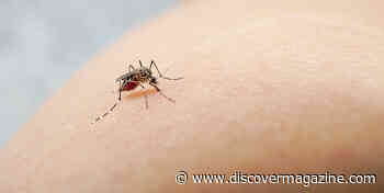 Ancient Humans May Have Built a Resistance to Malaria