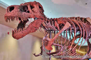 Why These 4 Massive Dinosaurs Also Had the Tiniest Arms