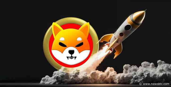 Here Are The Factors Driving The Shiba Inu Recovery Above $0.00001