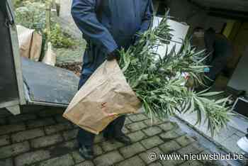 Na succes anoniem drugsmeldpunt: “herbekijken hoe we willen werken op cannabisdossiers”
