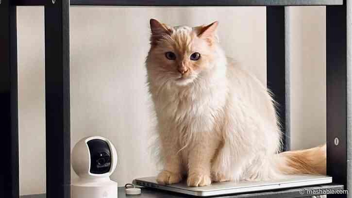 Take your pick of Kasa security cameras under $35 and keep your loved ones and valuables safe