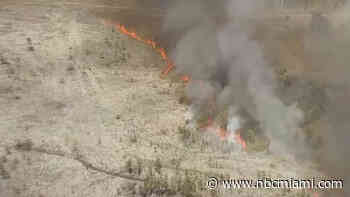 Video shows large brush fire burning in southwest Miami-Dade