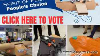 Spirit of Flight competition: Vote for best model plane