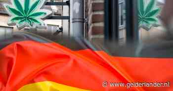 Duitsers mogen legaal wiet kweken, laten ze de coffeeshops in Nederland nu links liggen?